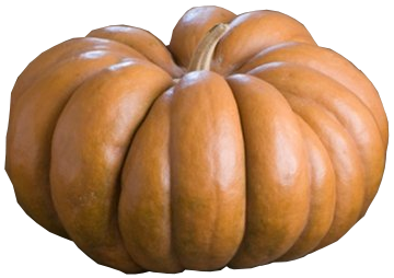 Pumpkin